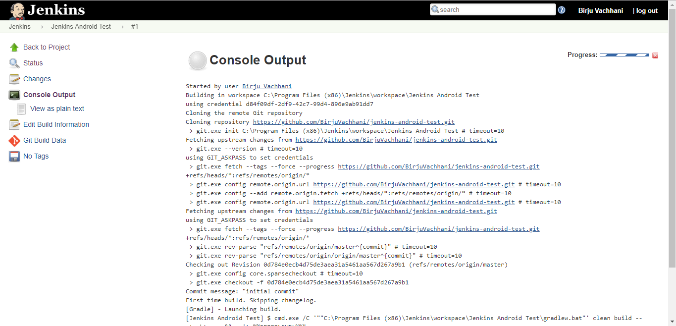 Jenkins: Console Output